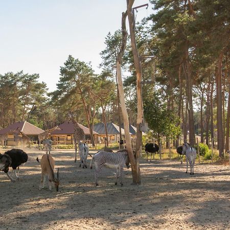 Safari Resort Beekse Bergen Hilvarenbeek Luaran gambar