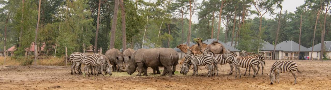 Safari Resort Beekse Bergen Hilvarenbeek Luaran gambar