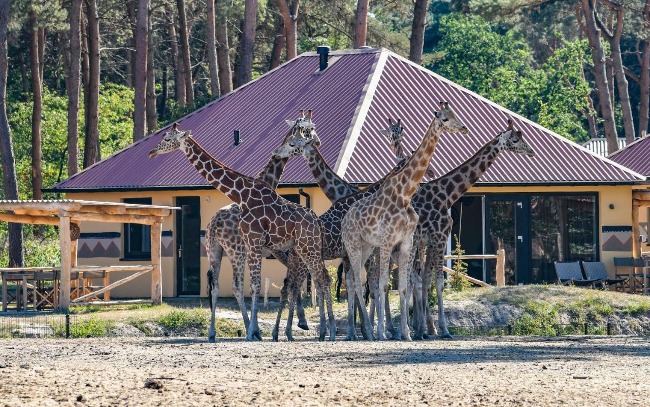 Safari Resort Beekse Bergen Hilvarenbeek Luaran gambar