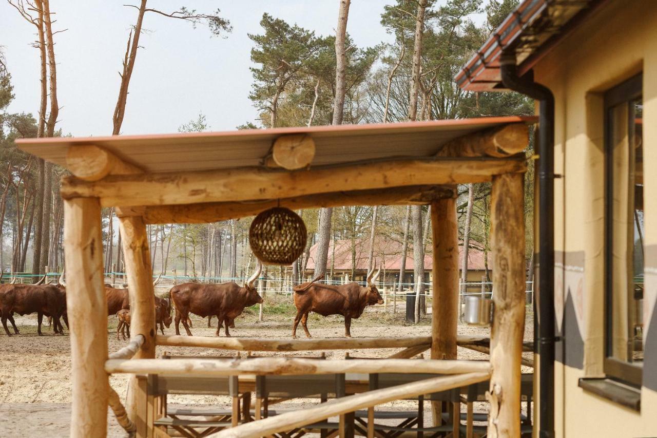 Safari Resort Beekse Bergen Hilvarenbeek Luaran gambar