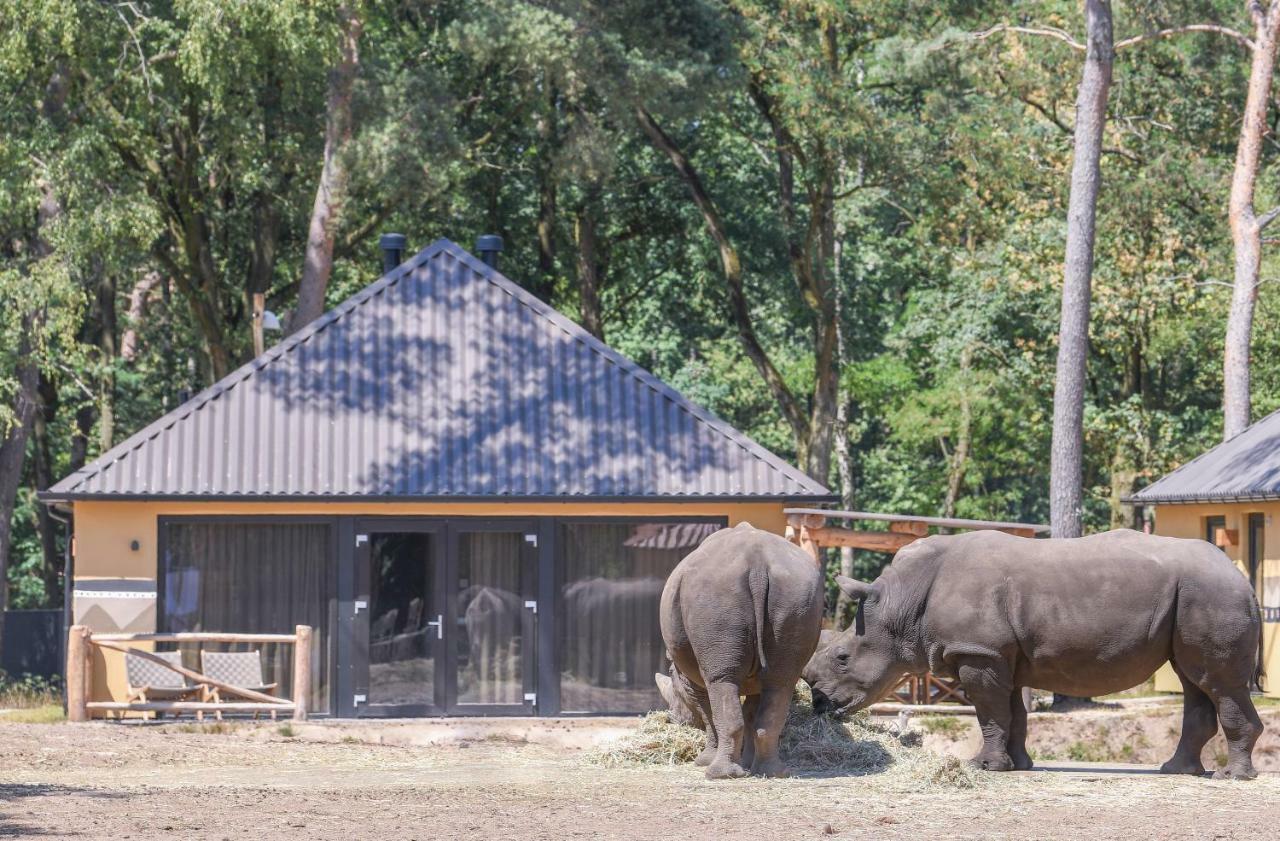 Safari Resort Beekse Bergen Hilvarenbeek Luaran gambar
