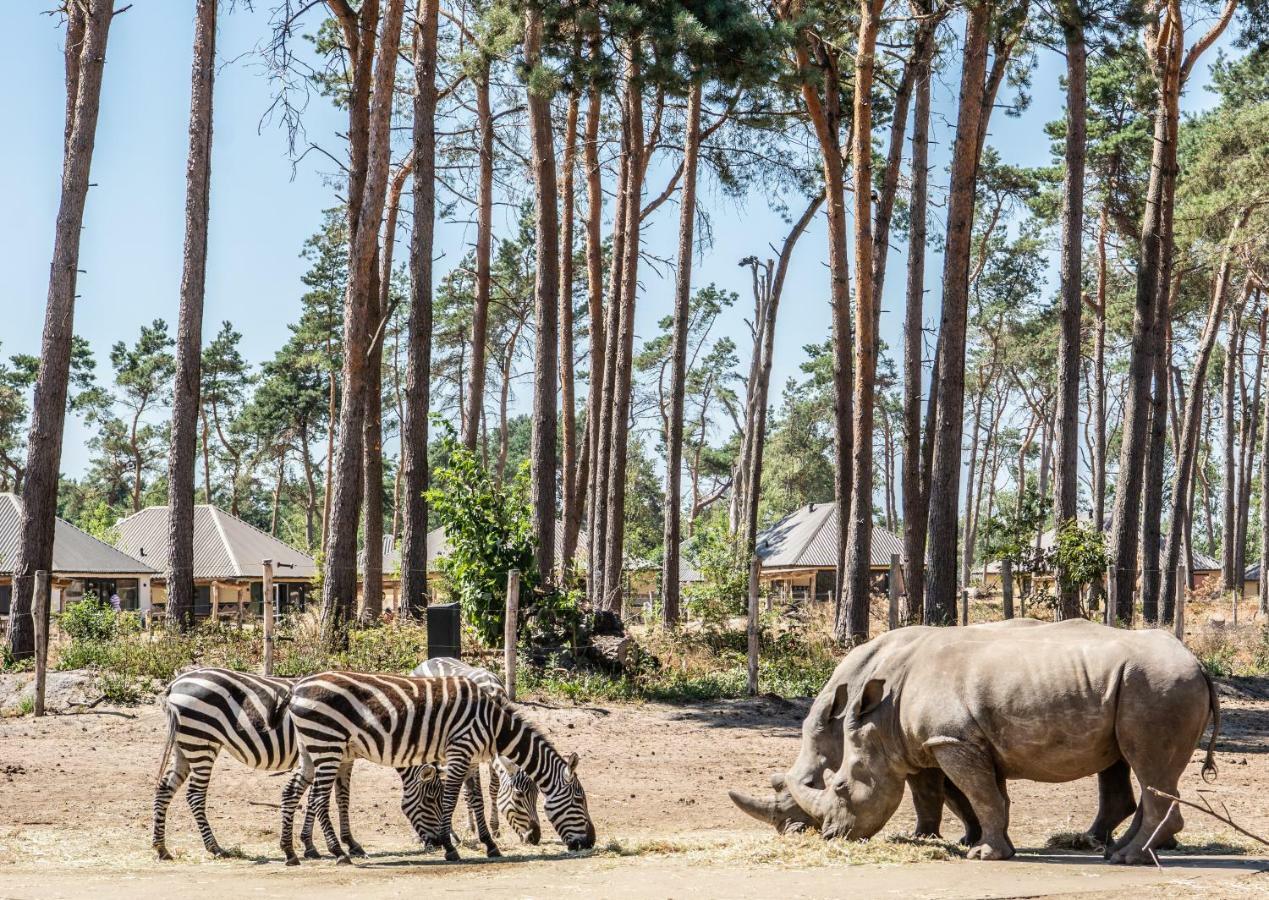 Safari Resort Beekse Bergen Hilvarenbeek Luaran gambar